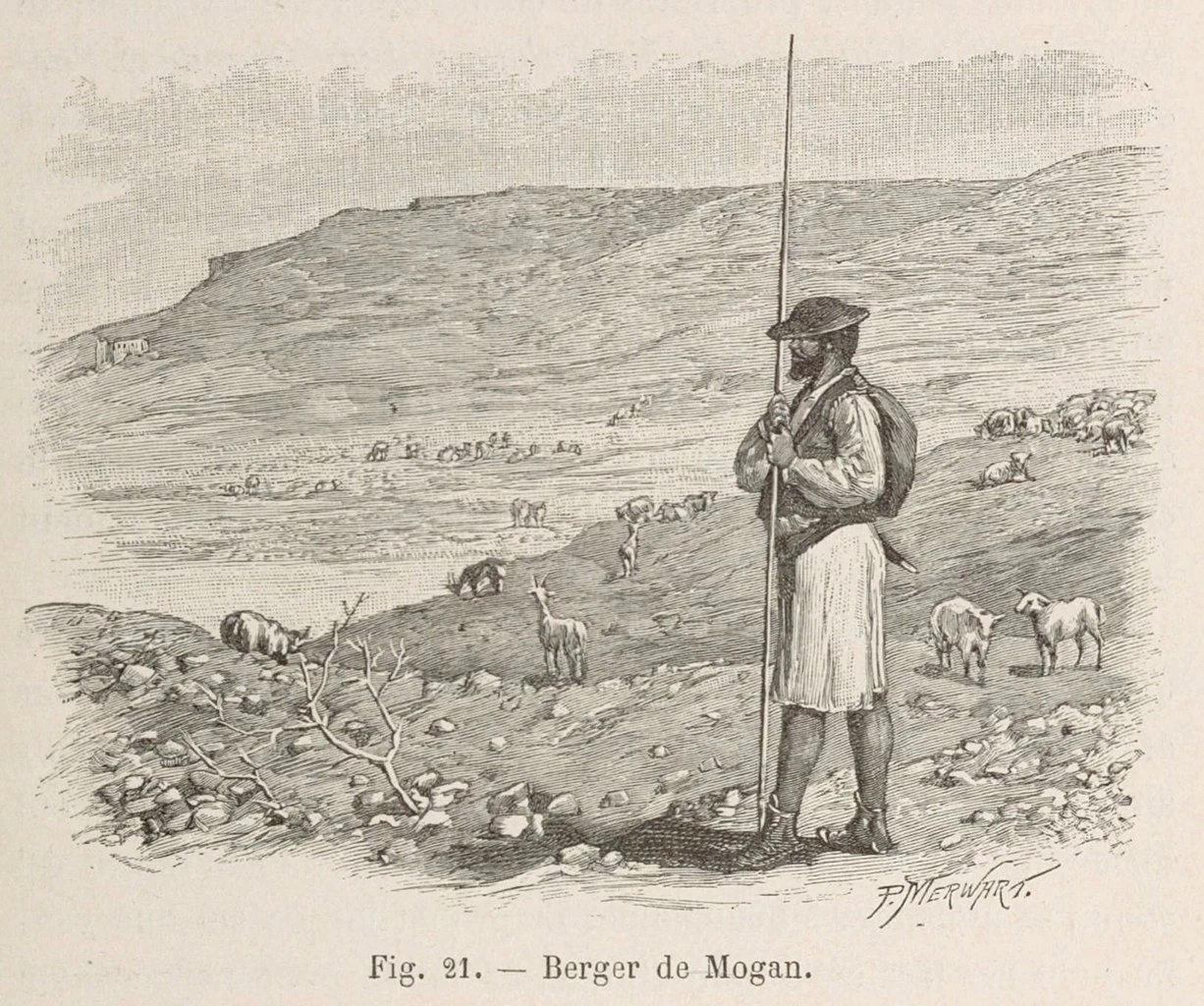 Pastore di Mogán